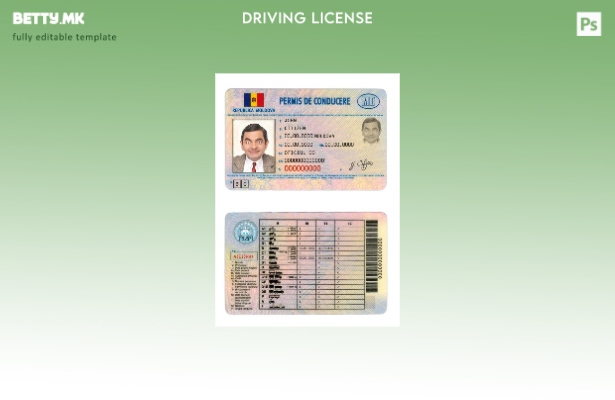 Модерен стил Молдавија DL шаблон